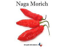 Load image into Gallery viewer, Naga Morich