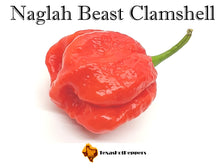 Load image into Gallery viewer, Naglah Beast Clamshell F2