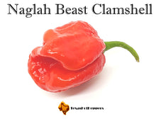 Load image into Gallery viewer, Naglah Beast Clamshell F2