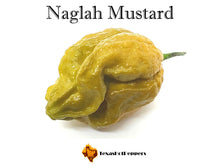 Load image into Gallery viewer, Naglah Mustard