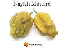 Load image into Gallery viewer, Naglah Mustard