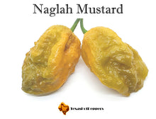 Load image into Gallery viewer, Naglah Mustard