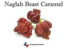 Load image into Gallery viewer, Naglah Beast Caramel Seeds