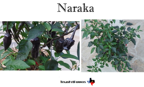 Naraka