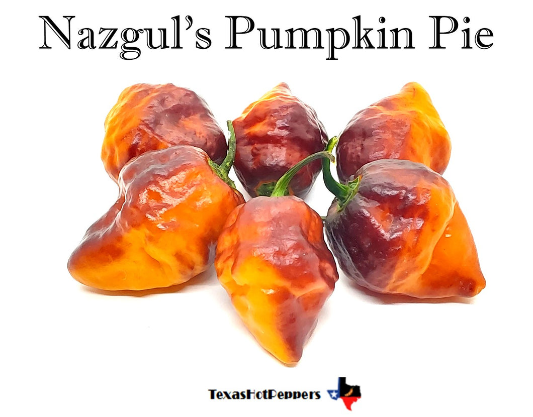 Nazgul's Pumpkin Pie
