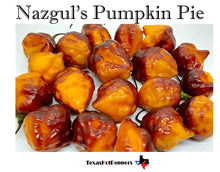 Load image into Gallery viewer, Nazgul&#39;s Pumpkin Pie