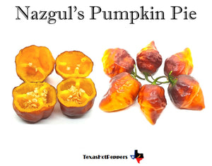 Nazgul's Pumpkin Pie
