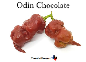 Odin Chocolate