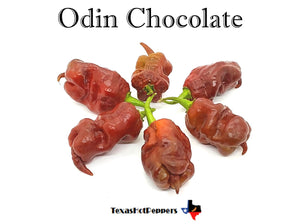 Odin Chocolate