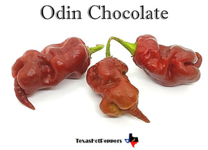 Odin Chocolate