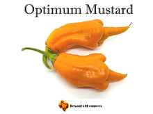 Load image into Gallery viewer, Optimum Mustard