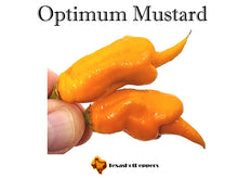 Load image into Gallery viewer, Optimum Mustard