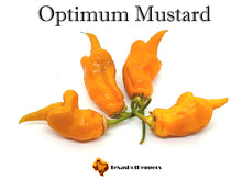 Load image into Gallery viewer, Optimum Mustard