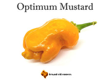 Load image into Gallery viewer, Optimum Mustard