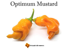 Load image into Gallery viewer, Optimum Mustard