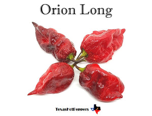 Orion Long