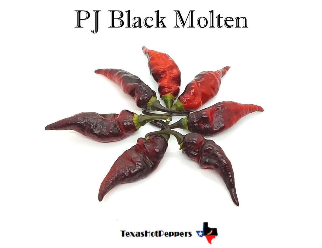 PJ Black Molten