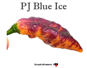 PJ Blue Ice
