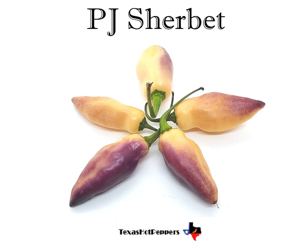 PJ Sherbet