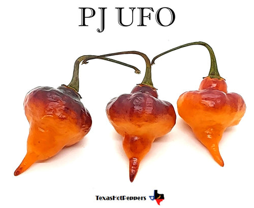 PJ UFO