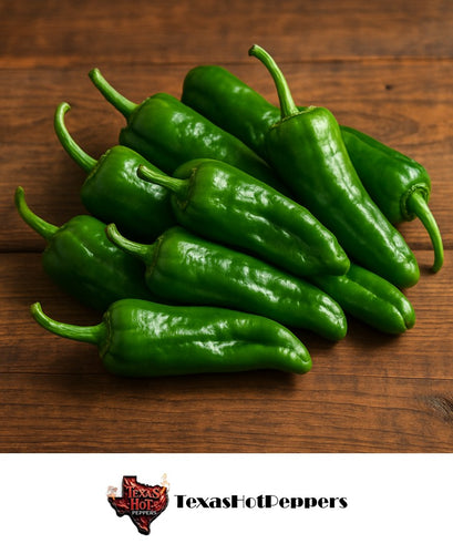 Padron