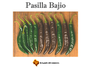 Pasilla Bajio