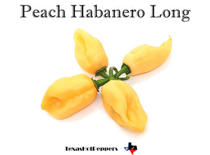 Peach Habanero Long