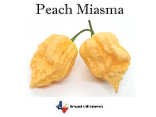 Load image into Gallery viewer, Peach Miasma