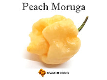 Load image into Gallery viewer, Peach Moruga