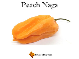 Peach Naga