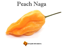 Load image into Gallery viewer, Peach Naga