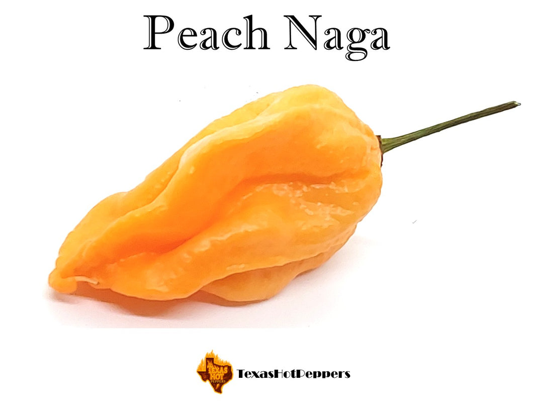 Peach Naga