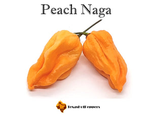 Peach Naga