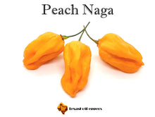 Load image into Gallery viewer, Peach Naga