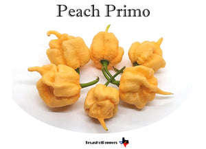 Peach Primo