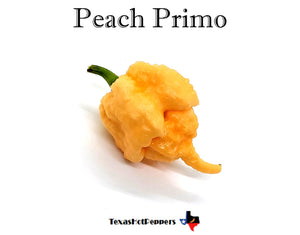 Peach Primo