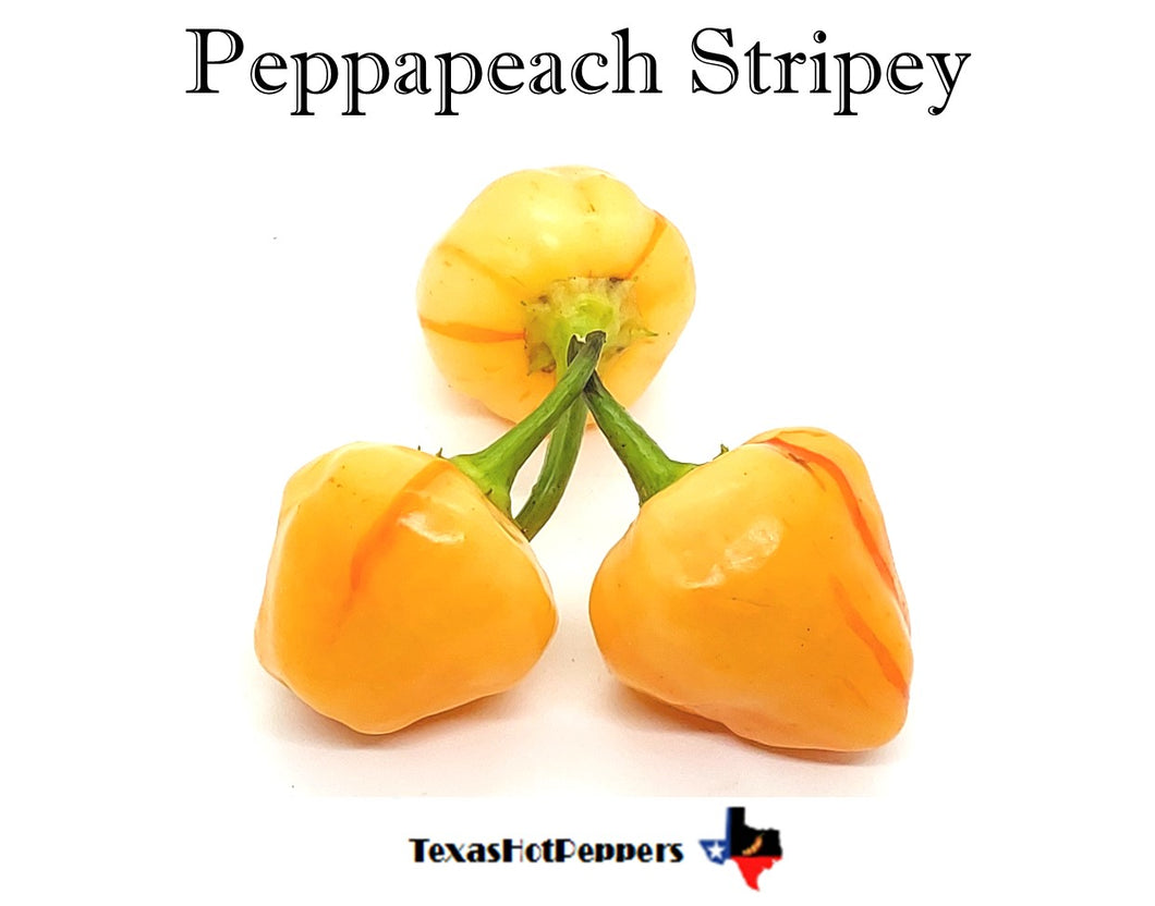 Peppapeach Stripey