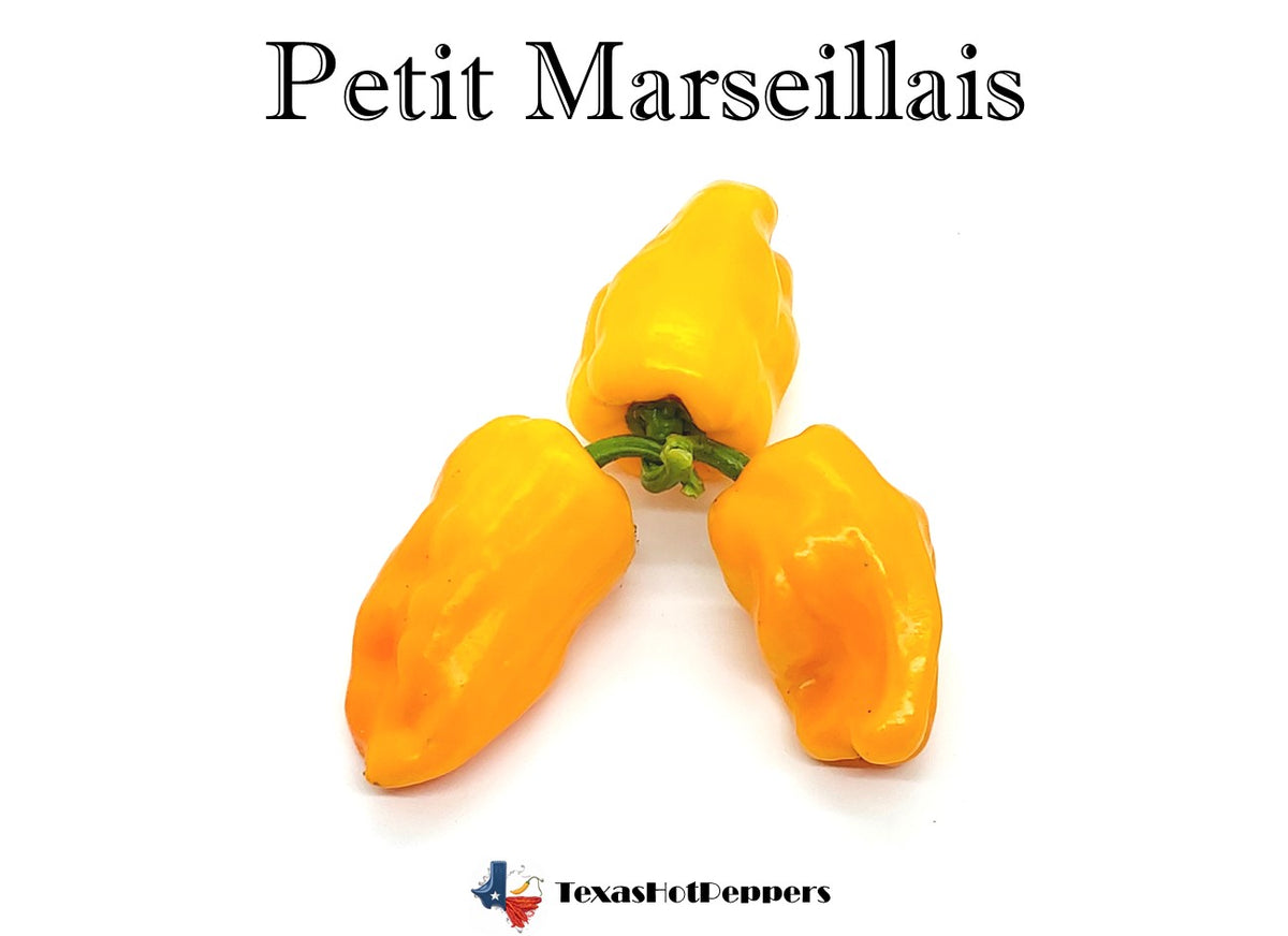 Petit Marseillais Texas Hot Peppers Petit marseillais texas hot peppers