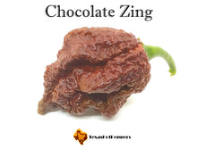 Load image into Gallery viewer, Chocolate Zing