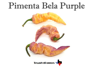 Pimenta Bela Purple