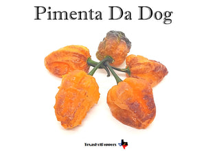 Pimenta Da Dog