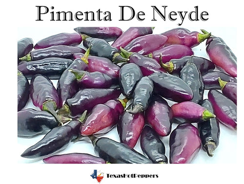 Pimenta De Neyde