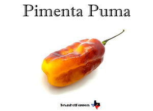 Pimenta Puma