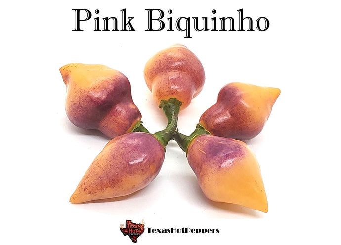 Pink Biquinho