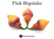 Load image into Gallery viewer, Pink Biquinho
