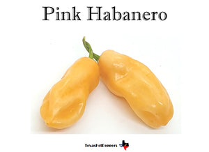 Pink Habanero