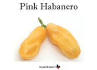 Pink Habanero