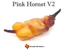 Load image into Gallery viewer, Pink Hornet V2