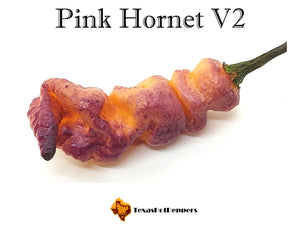 Pink Hornet V2