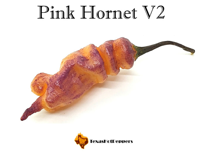 Pink Hornet V2